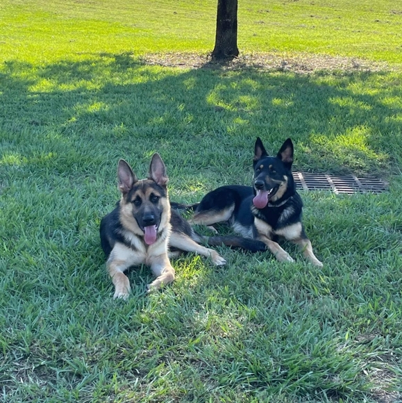 Meet your Posher, Mai - Picture 1 of 1